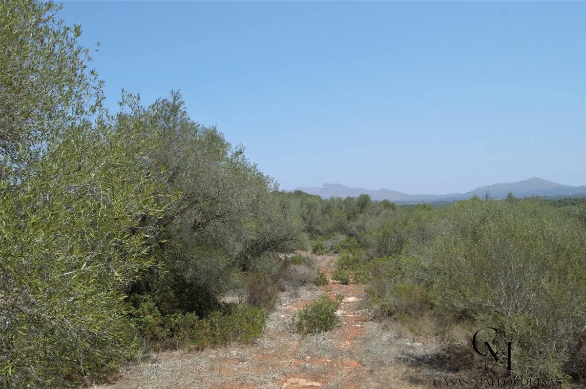 Bouwgrond te koop in Ca'n Picafort - € 430.000 (Ref: 9996088)