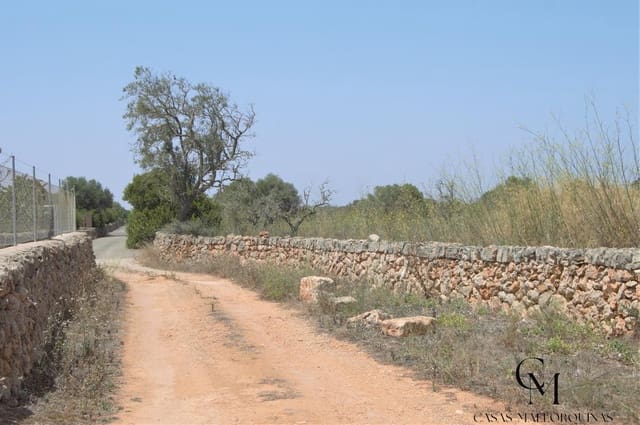 Bouwgrond te koop in Ca'n Picafort, Santa Margalida - € 430.000 (Ref: 9996088)