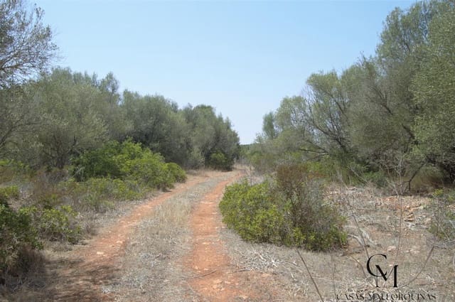 Bouwgrond te koop in Ca'n Picafort, Santa Margalida - € 430.000 (Ref: 9996088)