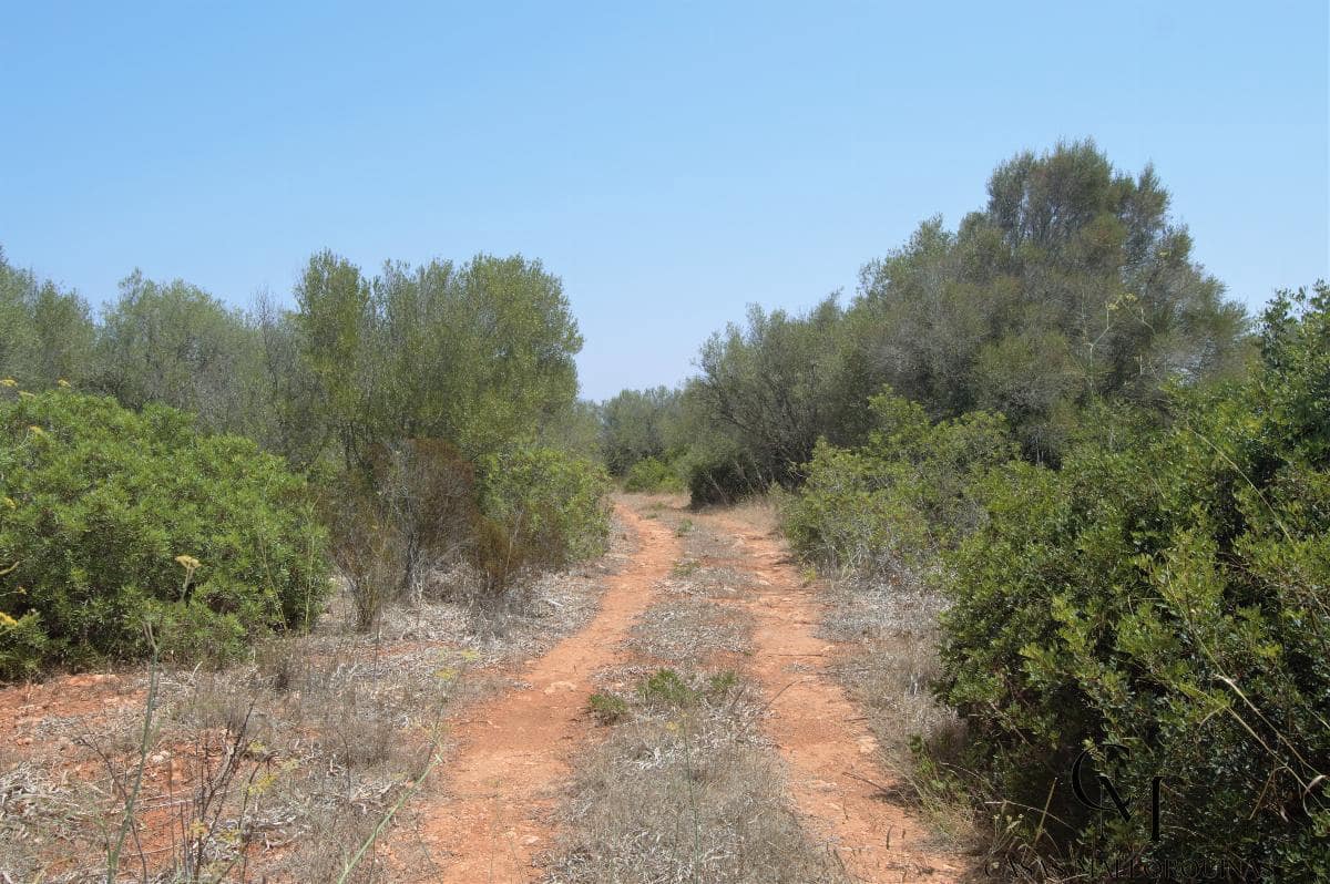 Bouwgrond te koop in Ca'n Picafort - € 430.000 (Ref: 9996088)