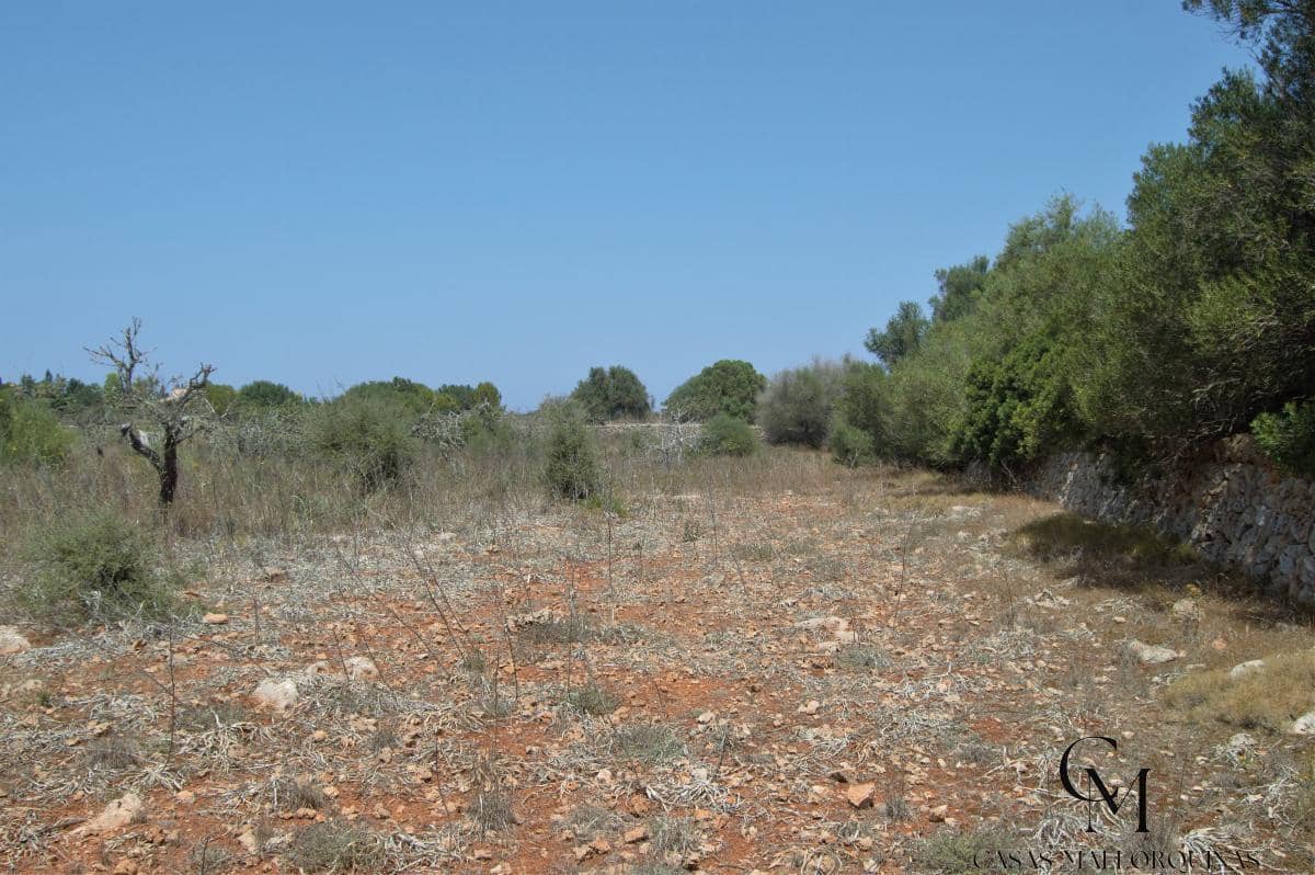 Bouwgrond te koop in Ca'n Picafort - € 430.000 (Ref: 9996088)