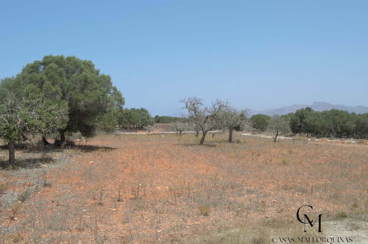 Bouwgrond te koop in Ca'n Picafort - € 430.000 (Ref: 9996088)