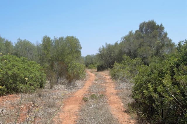 Bouwgrond te koop in Ca'n Picafort, Santa Margalida - € 430.000 (Ref: 9996088)