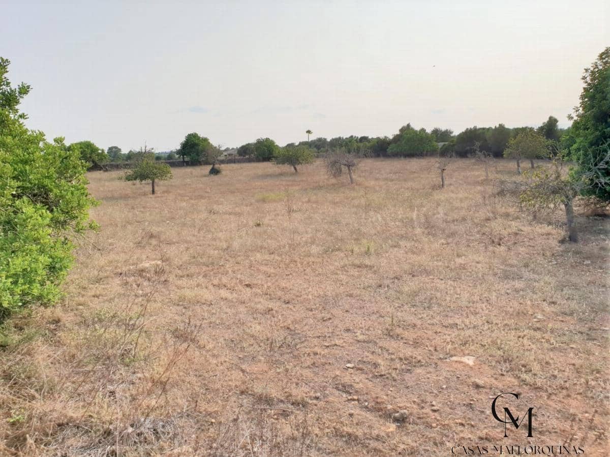 Bouwgrond te koop in Santa Margalida - € 220.000 (Ref: 9996089)