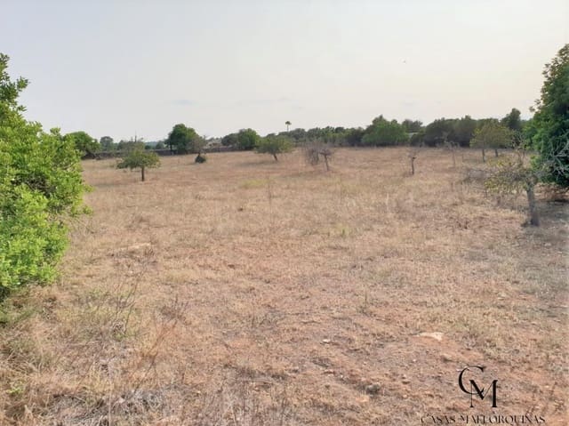 Bouwgrond te koop in Santa Margalida - € 220.000 (Ref: 9996089)