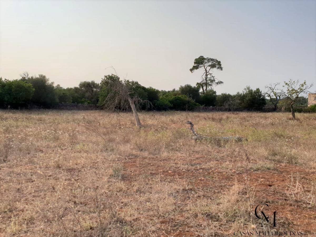 Bouwgrond te koop in Santa Margalida - € 220.000 (Ref: 9996089)