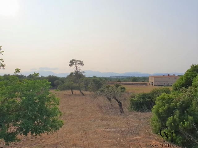 Bouwgrond te koop in Santa Margalida - € 220.000 (Ref: 9996089)