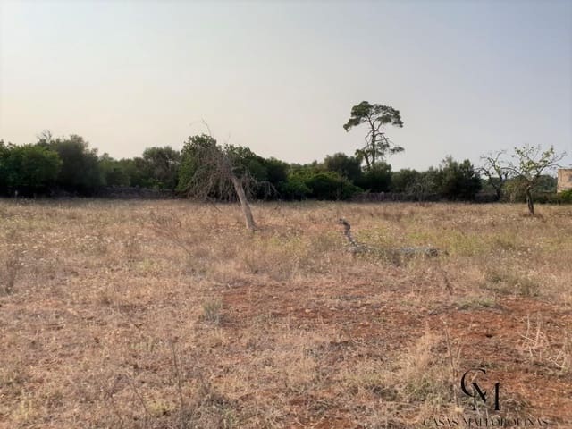Bouwgrond te koop in Santa Margalida - € 220.000 (Ref: 9996089)