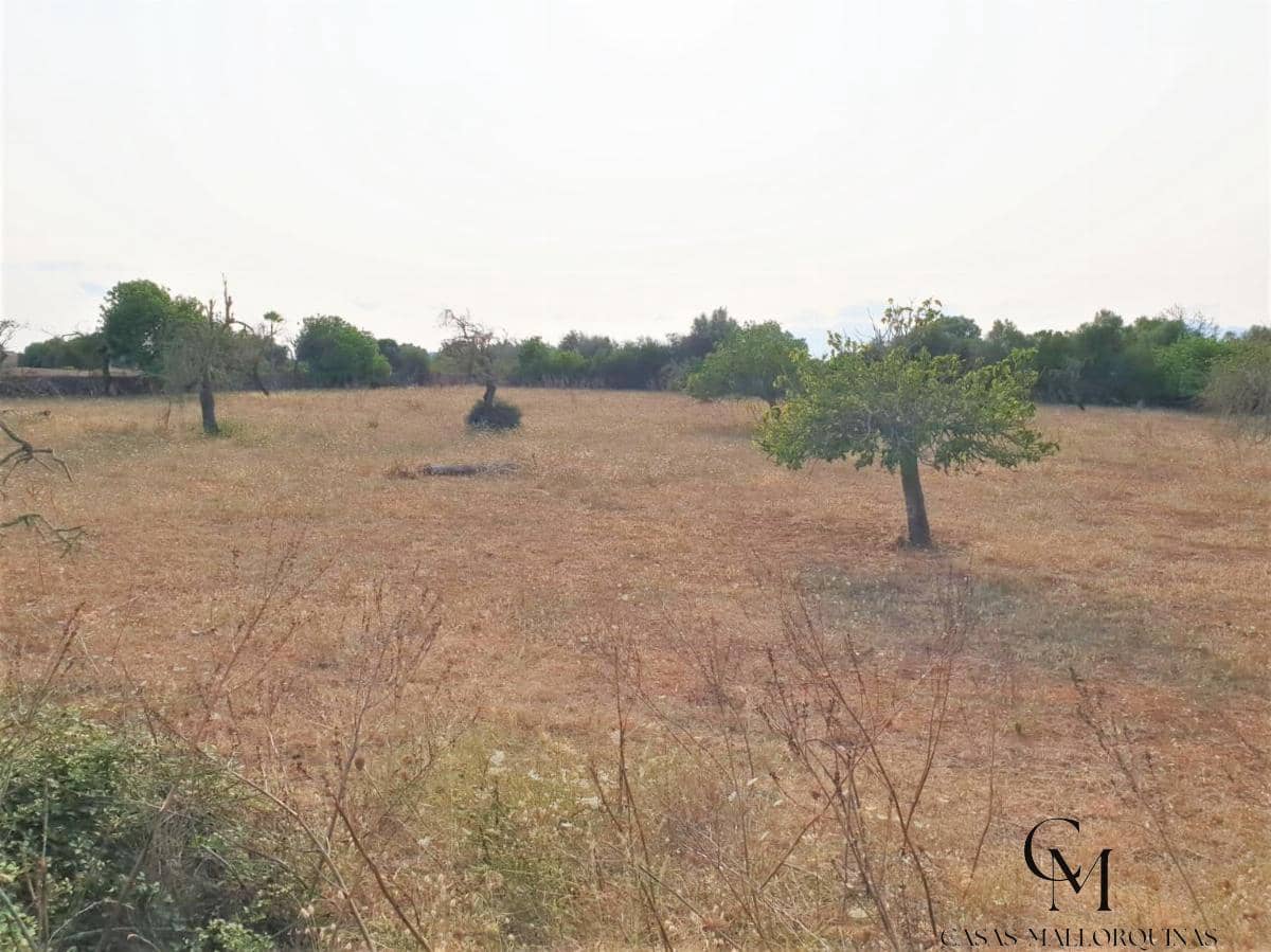 Bouwgrond te koop in Santa Margalida - € 220.000 (Ref: 9996089)