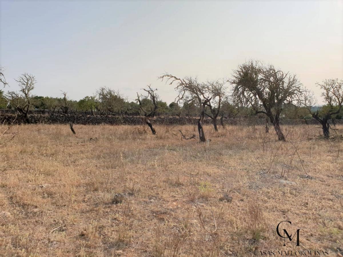 Bouwgrond te koop in Santa Margalida - € 220.000 (Ref: 9996089)