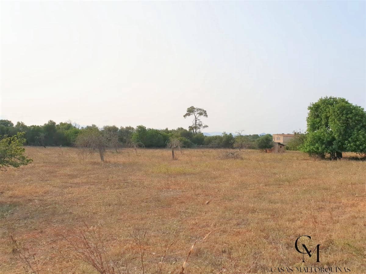 Bouwgrond te koop in Santa Margalida - € 220.000 (Ref: 9996089)
