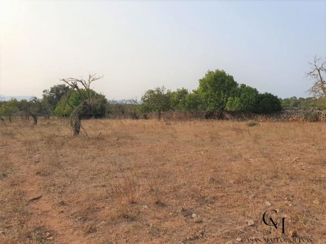 Bouwgrond te koop in Santa Margalida - € 220.000 (Ref: 9996089)
