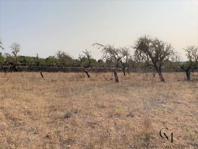 Bouwgrond te koop in Santa Margalida - € 220.000 (Ref: 9996089)