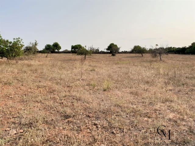 Bouwgrond te koop in Santa Margalida - € 220.000 (Ref: 9996089)
