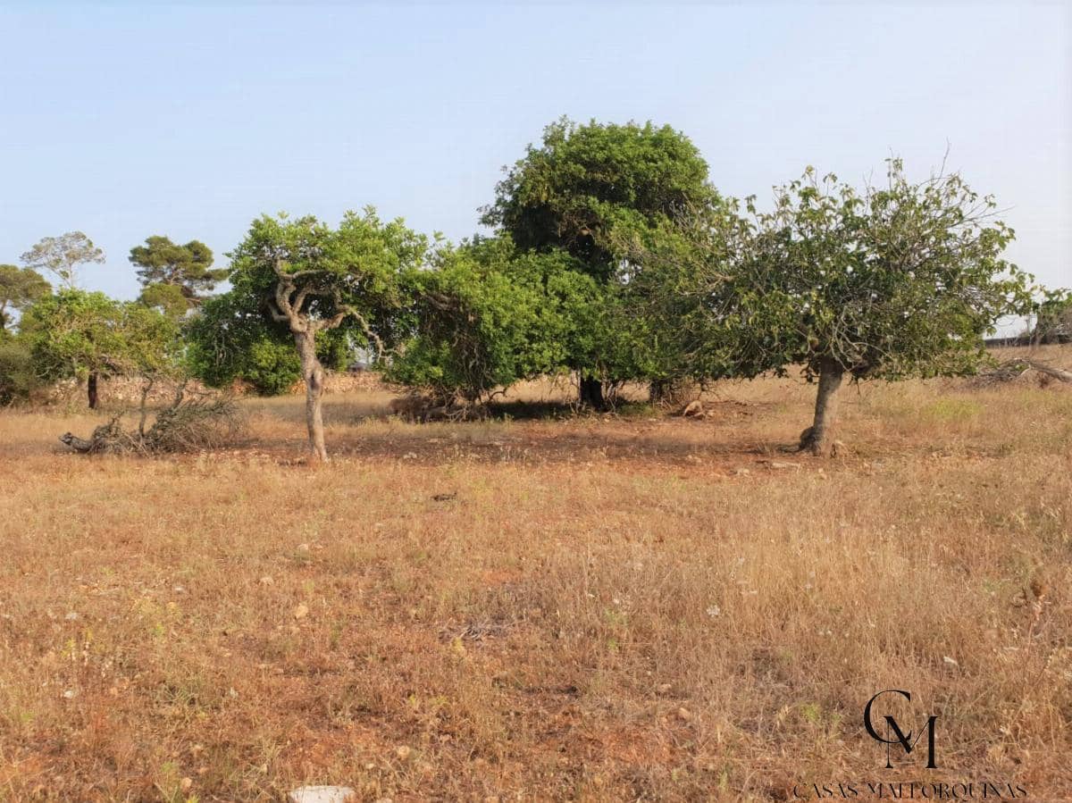 Bouwgrond te koop in Santa Margalida - € 220.000 (Ref: 9996089)