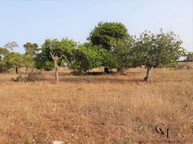 Bouwgrond te koop in Santa Margalida - € 220.000 (Ref: 9996089)