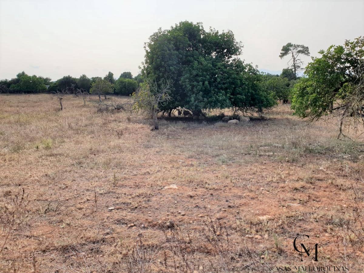 Bouwgrond te koop in Santa Margalida - € 220.000 (Ref: 9996089)