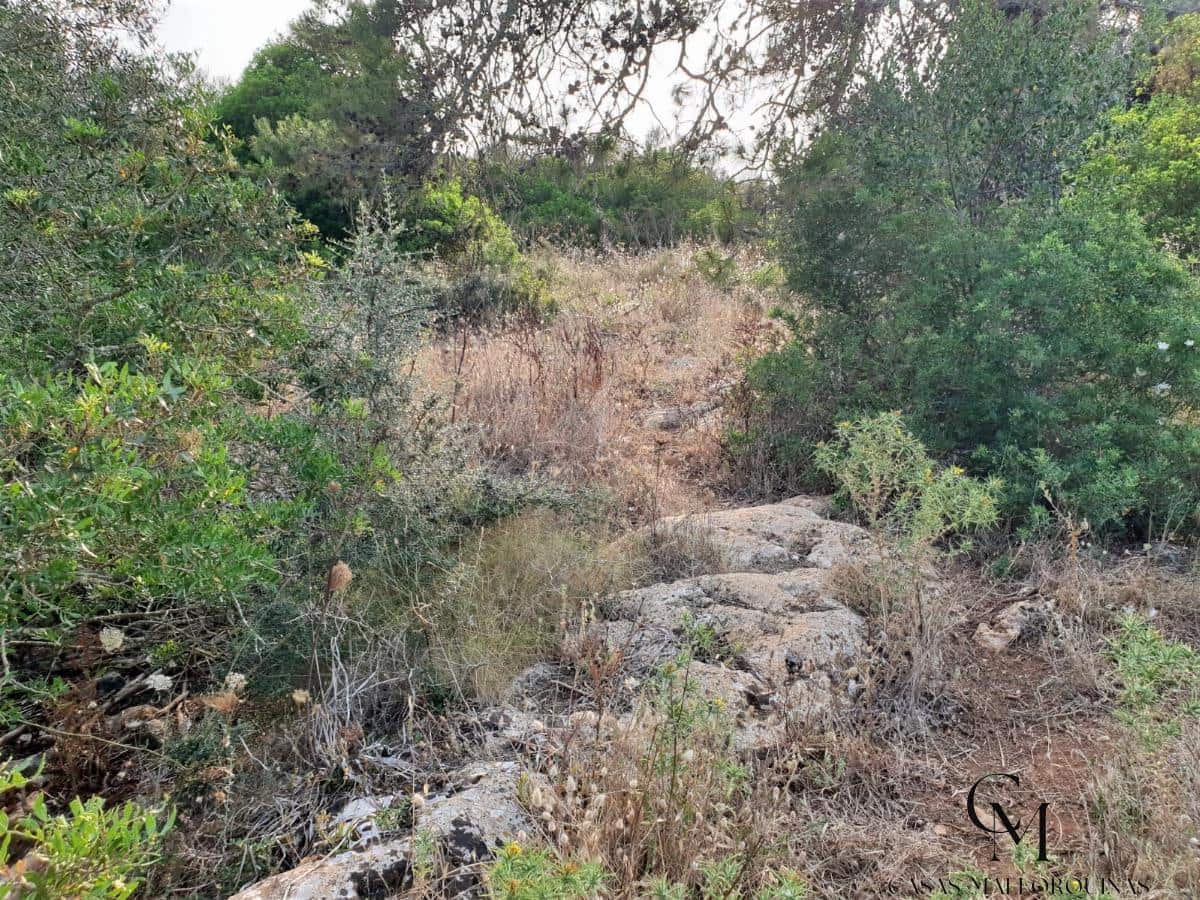 Bouwgrond te koop in Santa Margalida - € 220.000 (Ref: 9996089)