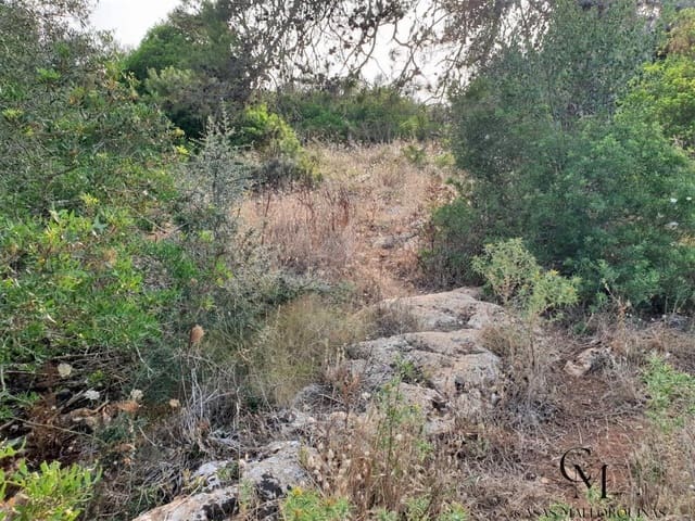 Bouwgrond te koop in Santa Margalida - € 220.000 (Ref: 9996089)