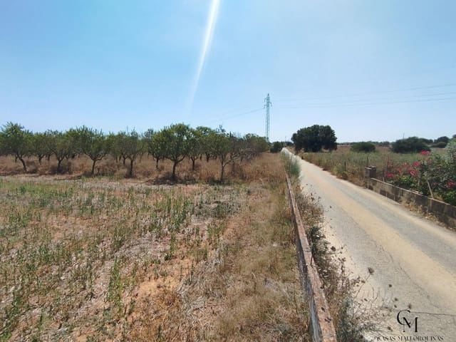 Bouwgrond te koop in Santa Margalida - € 229.500 (Ref: 9996121)