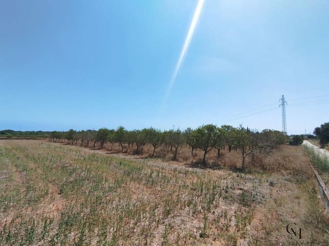 Bouwgrond te koop in Santa Margalida - € 229.500 (Ref: 9996121)