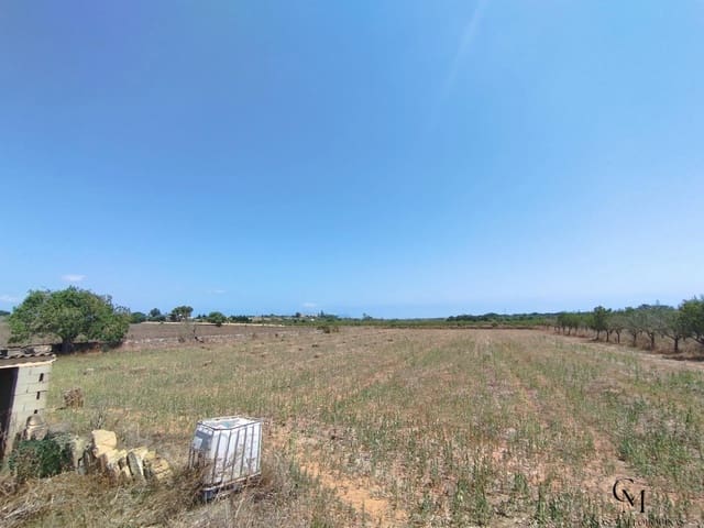 Bouwgrond te koop in Santa Margalida - € 229.500 (Ref: 9996121)