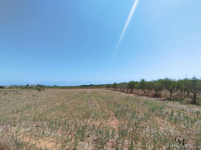 Bouwgrond te koop in Santa Margalida - € 229.500 (Ref: 9996121)