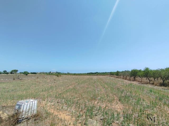 Bouwgrond te koop in Santa Margalida - € 229.500 (Ref: 9996121)