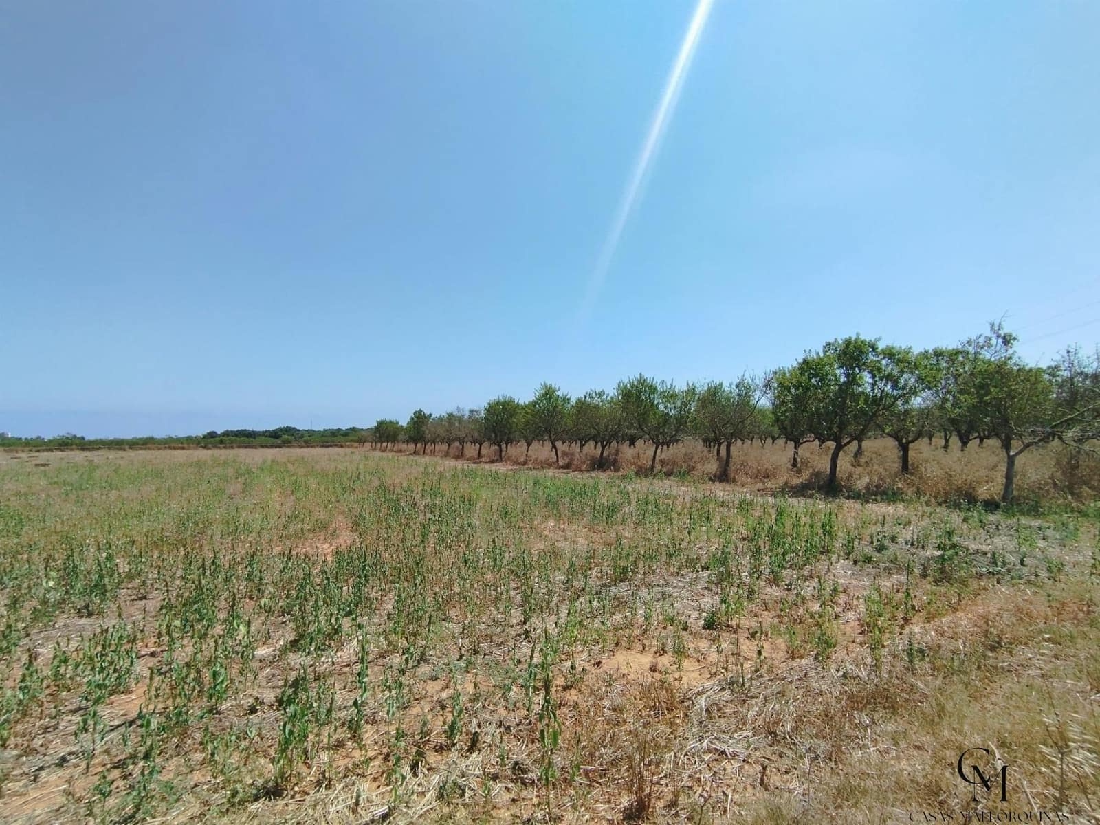 Bouwgrond te koop in Santa Margalida - € 229.500 (Ref: 9996121)