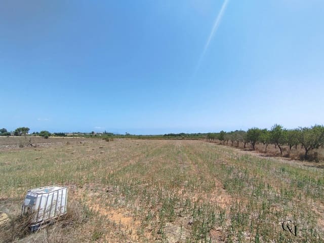 Bouwgrond te koop in Santa Margalida - € 229.500 (Ref: 9996121)