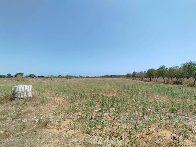 Bouwgrond te koop in Santa Margalida - € 229.500 (Ref: 9996121)