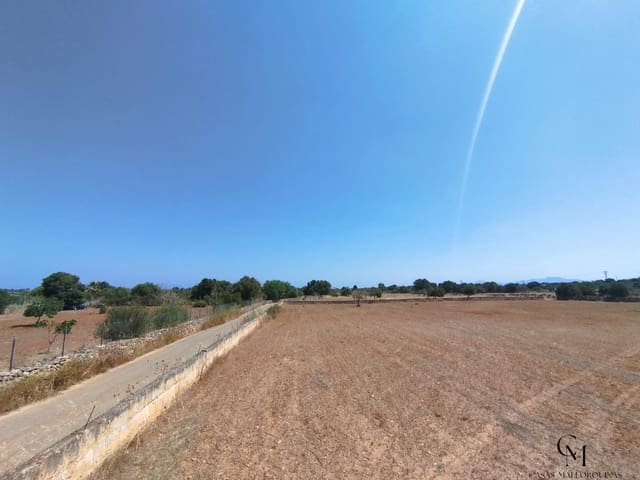 Byggetomt til salgs i Santa Margalida - € 249 500 (Ref: 9996122)
