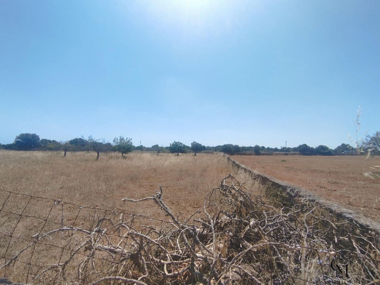 Bouwgrond te koop in Santa Margalida - € 249.500 (Ref: 9996122)