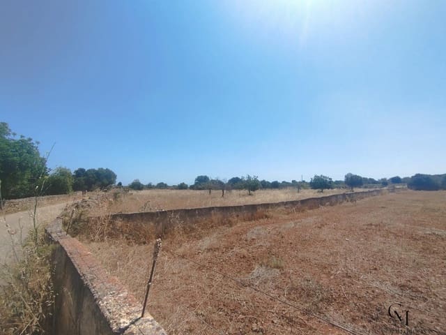 Byggetomt til salgs i Santa Margalida - € 249 500 (Ref: 9996122)