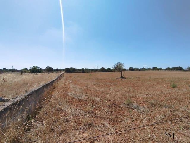 Byggetomt til salgs i Santa Margalida - € 249 500 (Ref: 9996122)