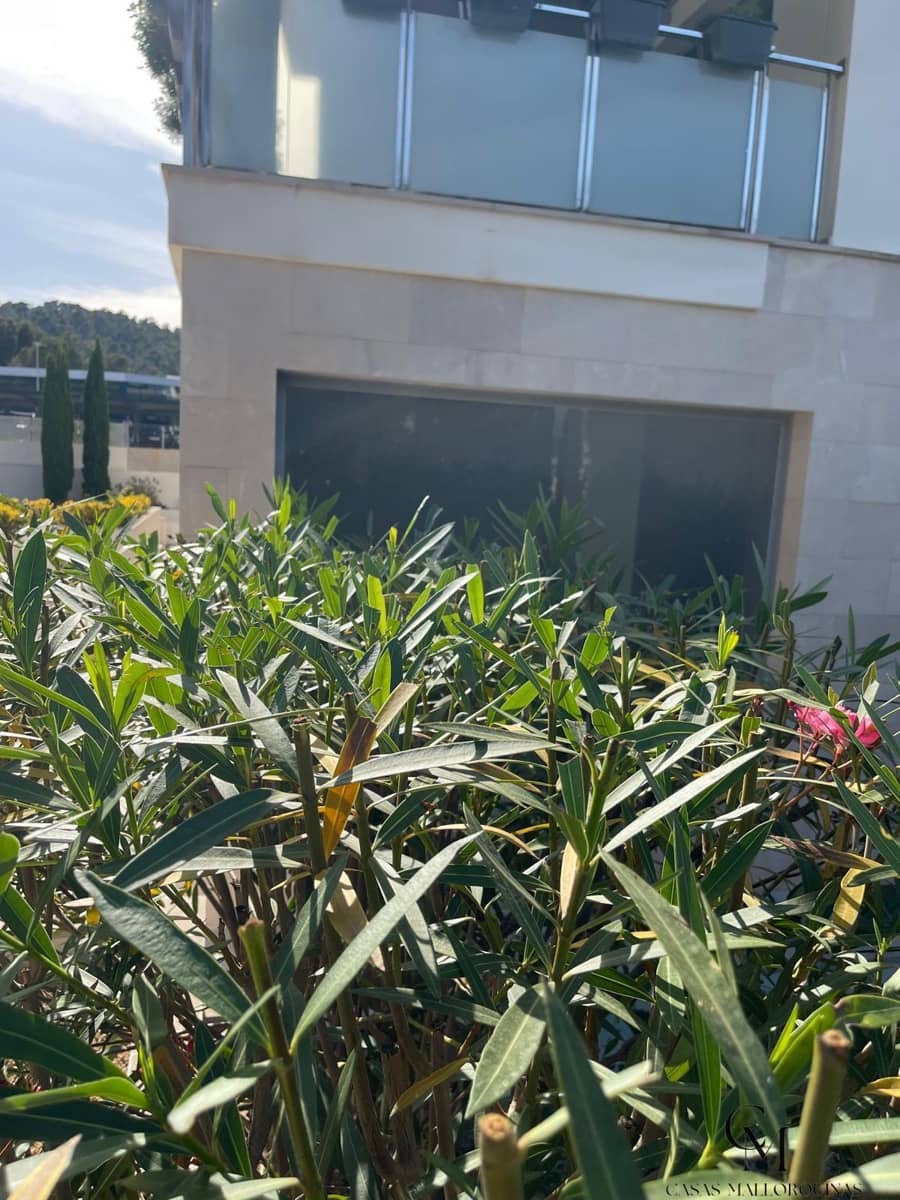 1 sypialnia Komercyjne na sprzedaż w Peguera / Paguera - 690 000 € (Ref: 9996130)