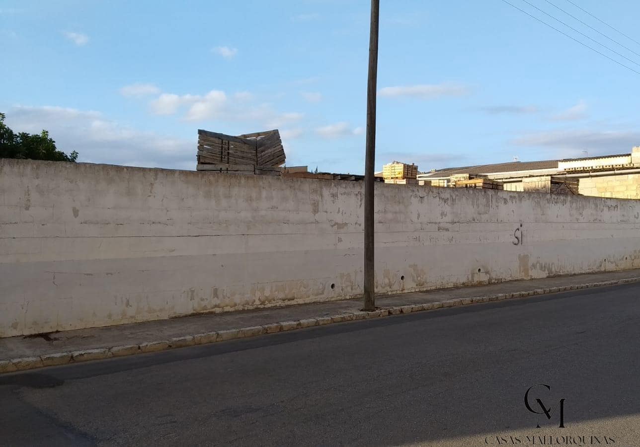 Bouwgrond te koop in Muro - € 400.000 (Ref: 9996134)