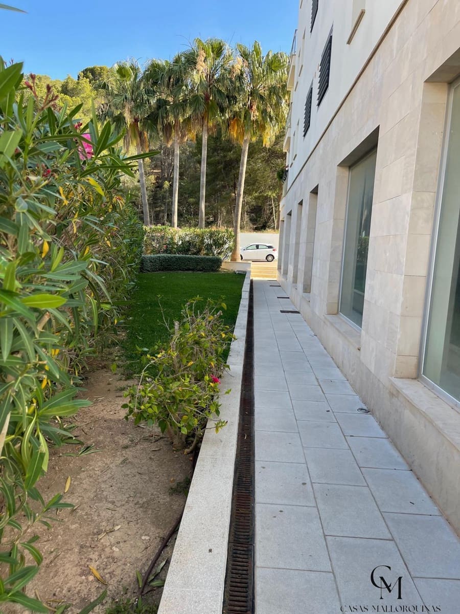 1 soverom Kommersiell til leie i Peguera / Paguera - € 3 000 (Ref: 9996139)