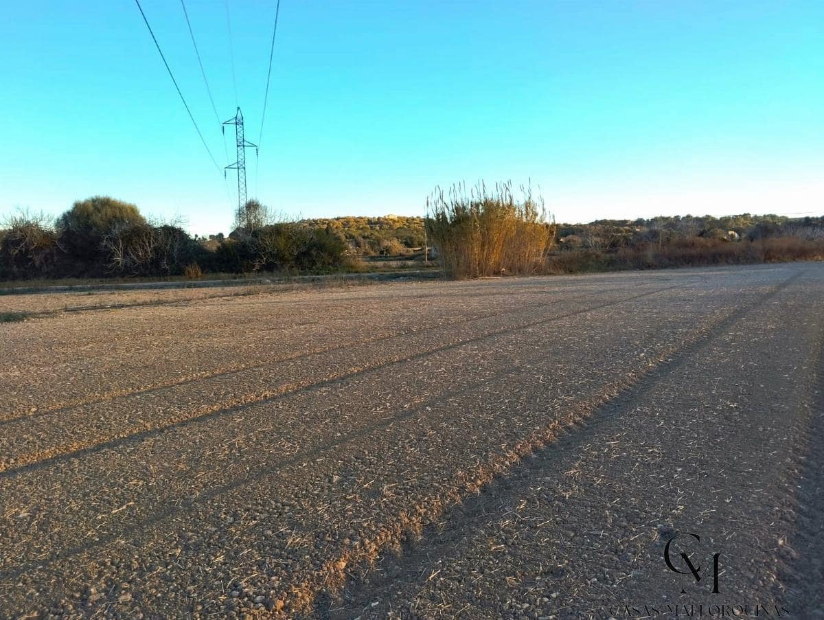 Area Edificabile in vendita in Muro - 200.000 € (Rif: 9996140)