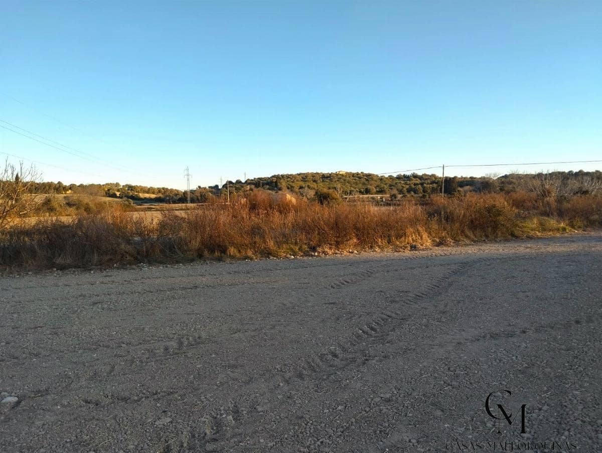 Area Edificabile in vendita in Muro - 200.000 € (Rif: 9996140)