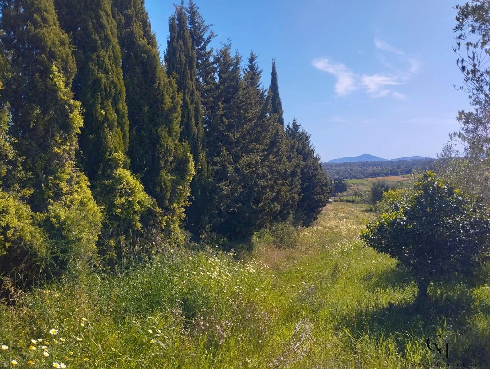 4 camera da letto Finca/Casa di Campagna in vendita in Santa Margalida - 435.000 € (Rif: 9996151)