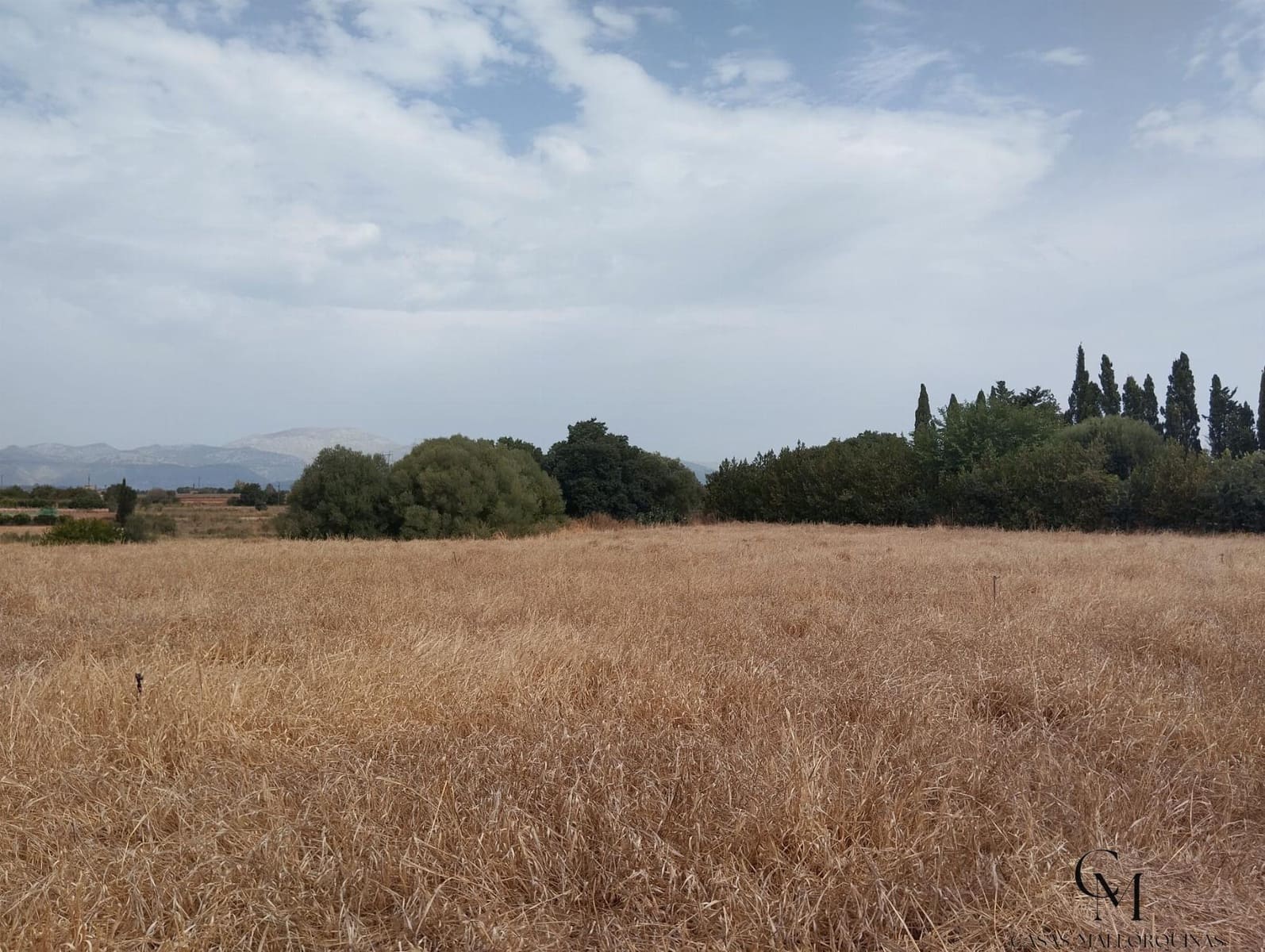 Terre non Aménagée à vendre à Muro - 225 000 € (Ref: 9996167)