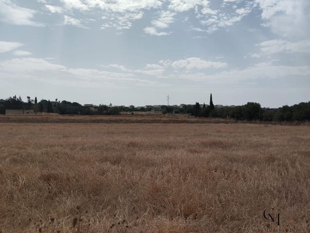 Terreno/Finca Rústica en Muro en venta - 225.000 € (Ref: 9996167)