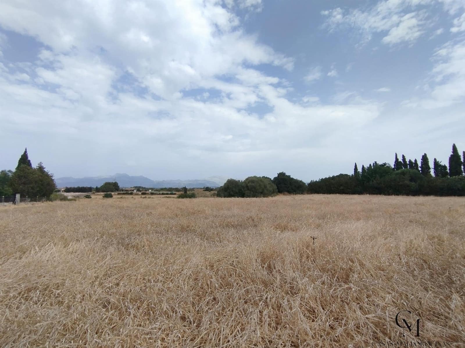 Terre non Aménagée à vendre à Muro - 225 000 € (Ref: 9996167)