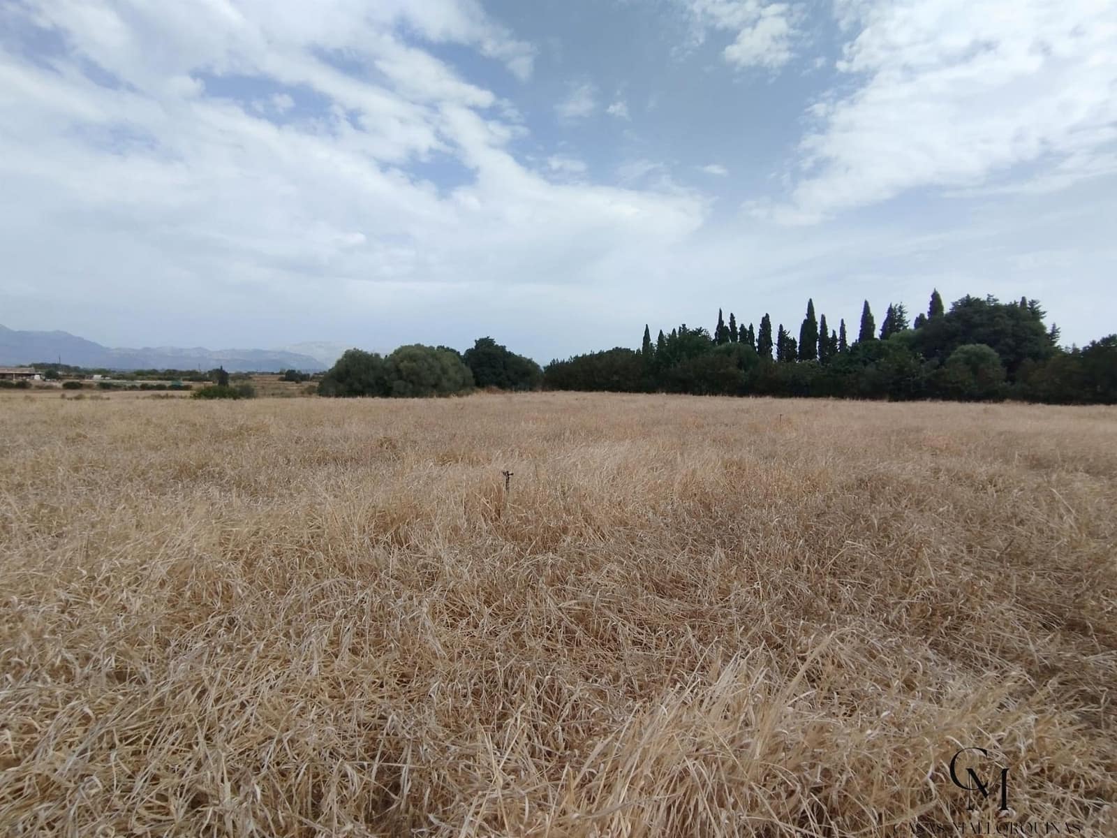 Terre non Aménagée à vendre à Muro - 225 000 € (Ref: 9996167)