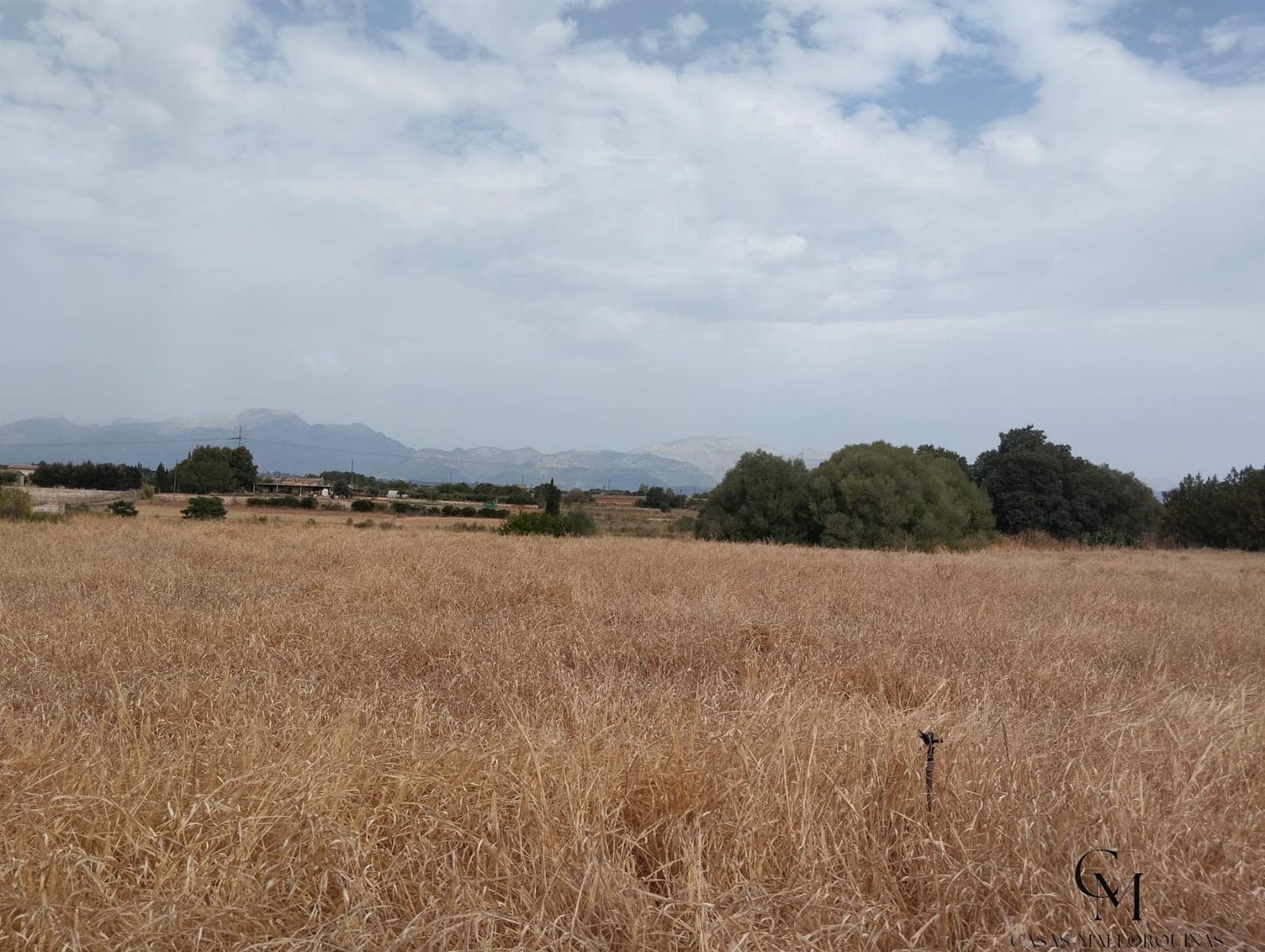 Terre non Aménagée à vendre à Muro - 225 000 € (Ref: 9996167)