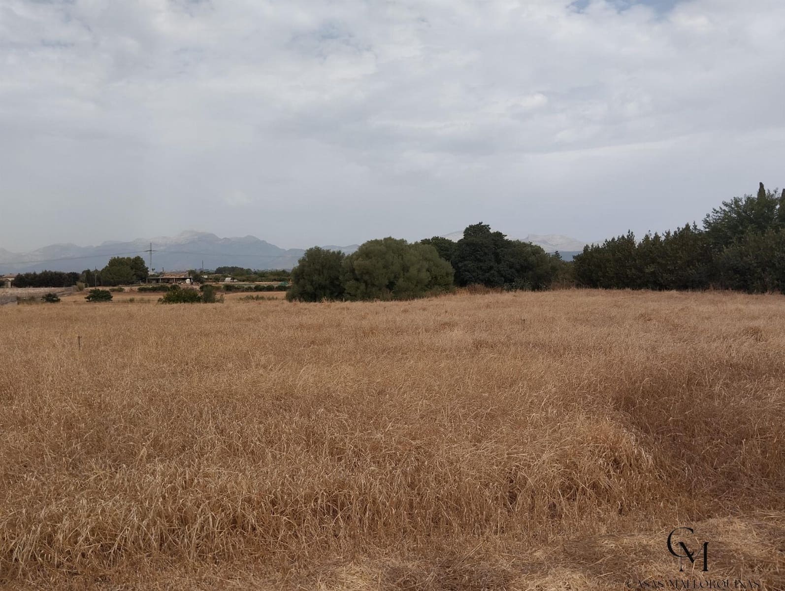 Terre non Aménagée à vendre à Muro - 225 000 € (Ref: 9996167)
