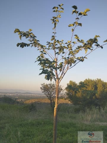 Building Plot for sale in Torrent - € 76,900 (Ref: 9354141)