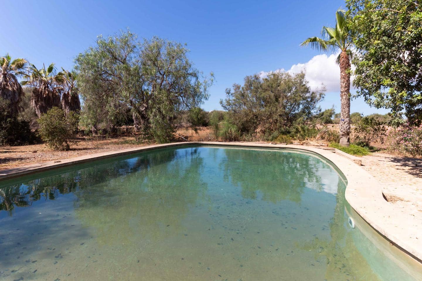 5 soverom Finca/Herregård til salgs i Santanyi med svømmebasseng garasje - € 950 000 (Ref: 8390186)