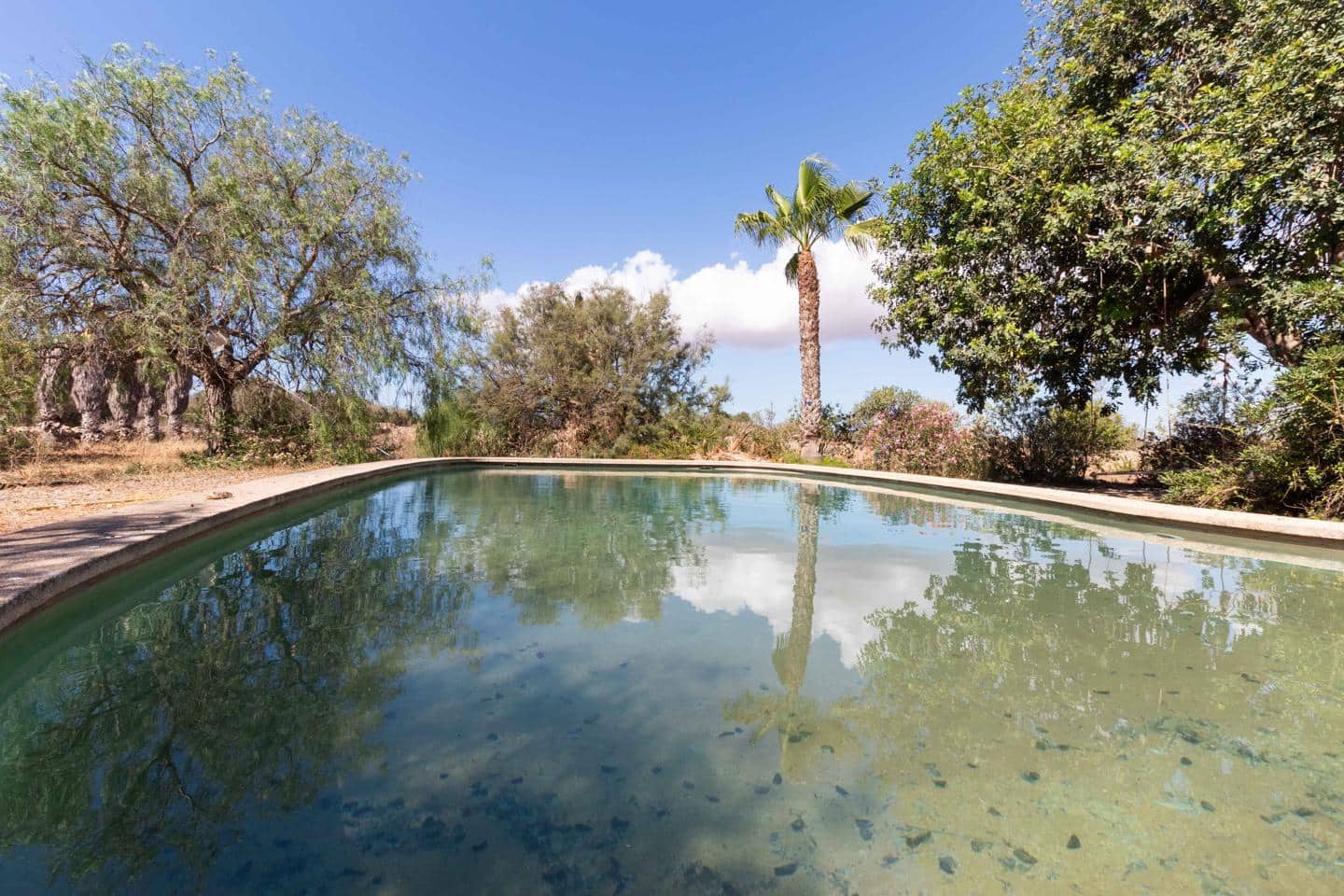 5 soverom Finca/Herregård til salgs i Santanyi med svømmebasseng garasje - € 950 000 (Ref: 8390186)